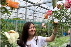 Ngất ngây khu vườn muôn sắc hồng