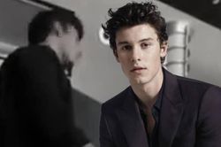 Phản ứng 'phũ phàng' của Shawn Mendes khi được fan hỏi về chuyện hẹn hò với Camila Cabello