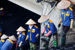 Nữ công nhân môi trường 'đội' nắng nóng nạo vét sông Tô Lịch
