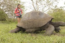 9 động vật kỳ lạ du khách có thể 'đụng độ' khi thám hiểm Galapagos