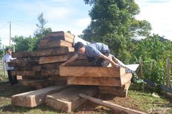 Nghệ An: Giúp huyện giáp biên của nước bạn Lào phát hiện, thu giữ hơn 20m3 gỗ lậu quý hiếm