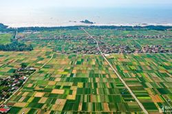 Mát mắt những mảng xanh đẹp như tranh ở miệt bãi ngang Nghệ An
