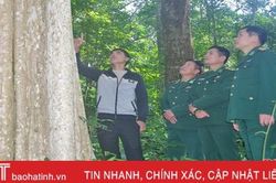 Nghe lời chiến sỹ BĐBP Hà Tĩnh, người dân không còn phá rừng, bẫy thú