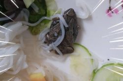 Nữ sinh được phen 'nôn thốc nôn tháo' khi tá hỏa phát hiện…ễnh ương nằm trong tô bún đang ăn dở chừng