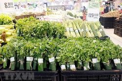 Ninh Bình nhân rộng mô hình Nói không với sử dụng túi nilon