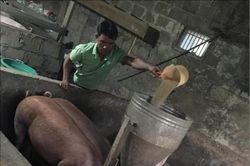 Kinh tế Điển hình ở thôn Par leeng