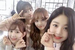 Nhóm nữ Kpop xinh đẹp bị chê khi cover hit nổi tiếng của AKB48