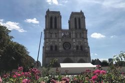 Nhà thờ Đức Bà Paris, tháng 7/2019