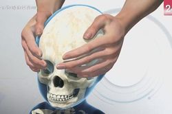 Nhằm khẳng định địa vị, người Trung Quốc xưa kéo dài hộp sọ như thế nào?