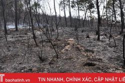Núi Nầm Hương Sơn hoang tàn sau 2 trận cháy liên tiếp
