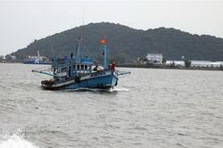 Gỡ 'thẻ vàng' của EC - nhiệm vụ quan trọng của ngành thủy sản