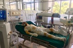 Vụ đổ 30 lít xăng đốt nhà: Cháu bé 2 tuổi đã không qua khỏi