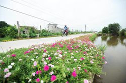Hơn 4 nghìn xã đạt chuẩn nông thôn mới
