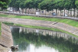 Nước sông Tô Lịch chuyển màu xanh sau 1 ngày nhận nước từ hồ Tây