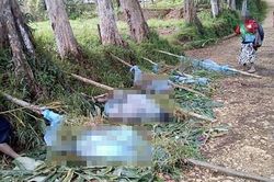 Papua New Guinea: Thảm sát tại một bộ lạc vùng Cao nguyên
