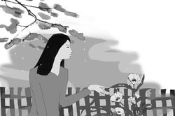 Mưa buổi sáng