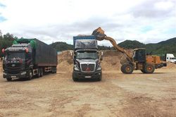 Doanh thu từ dịch vụ vận tải tăng cao