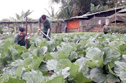 Nâng cao chất lượng bảo đảm hậu cần cho hoạt động của LLVT tỉnh