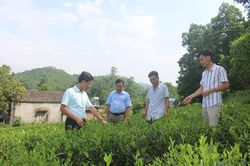 Đoàn kết, đồng lòng vì mục tiêu chung