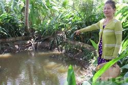 'Ngọc lửa kỳ bí' và bàu nước sôi ở Tam Bình