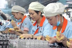 Đồng Nai hoàn thành kế hoạch thu hút vốn FDI cả năm