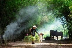 Đường về nhà…