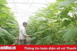 352 HTX nông nghiệp được xếp loại khá, giỏi