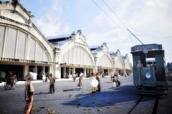 20 năm, Hà Nội - Thành phố vì hòa bình - Bài 2: Yêu Hà Nội, viết về Hà Nội