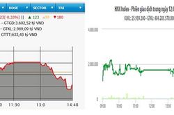 Đảo chiều, VN-Index vẫn giữ được mốc 975 điểm