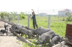 Sáng tạo trong tăng gia sản xuất