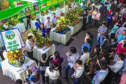 Khai mạc lễ hội trái cây Long Khánh