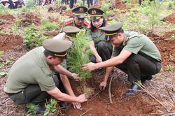 TP. Pleiku phát động trồng cây đời đời nhớ ơn Bác Hồ