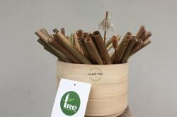 Rộ mốt kinh doanh theo xu hướng sinh thái