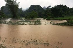 Mưa lũ gây nhiều thiệt hại tại Cao Bằng