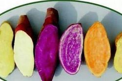 Rau củ chống ung thư cực tốt, chợ Việt Nam vừa sẵn vừa rẻ như bèo
