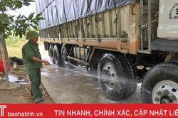 Dịch bủa vây tứ phía, Vũ Quang quyết bảo vệ an toàn đàn lợn