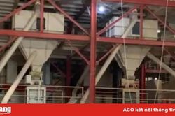 Bị cuốn vào trục máy trộn cám, 1 công nhân tử vong