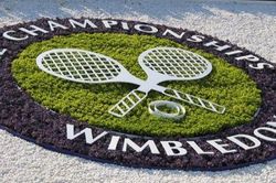 Kết quả quần vợt ngày 14/7, rạng sáng 15/7. Kết quả Djokovic đấu với Federer. Kết quả chung kết Wimbledon 2019