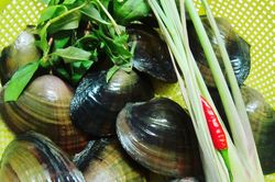 Những người đại kỵ với trai, hến, đừng ăn kẻo 'hối không kịp'