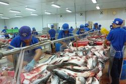 Hiệp định ATIGA 'mở lối' cho cá tra Việt sang thị trường ASEAN