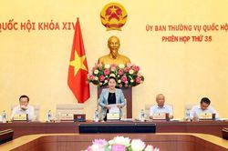 Sao không giảm chỗ nào mà giảm ở cơ quan dân cử?