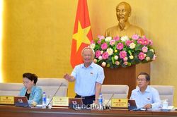 Xã hội bao nhiêu vấn đề nóng bỏng, báo cáo lại 'êm ả, lạc quan'