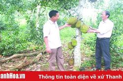 Đảng bộ xã Phúc Do lãnh đạo xây dựng nông thôn mới