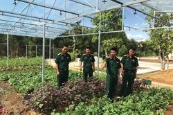 Chính trị - Xã hội Chính trị - Xã hội Tăng gia giỏi