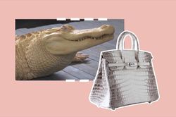 Vì sao túi Hermès Himalaya Birkin có giá đến 12 tỷ đồng?