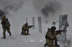 Phó Tổng thư ký LHQ: Cuộc chiến tại miền Đông Ukraine ngày càng cướp đi nhiều sinh mạng