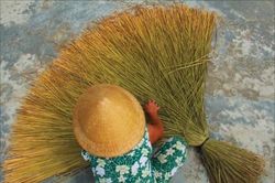 Đời sống Đời sống Sứ mệnh của đốt tre, cọng cỏ