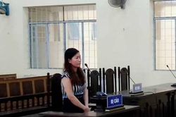 Nữ giám đốc vu khống cán bộ lĩnh án 3 năm tù