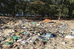 Bãi biển Hải Dương - Thừa Thiên Huế: Rác 'bủa vây' trong mùa du lịch