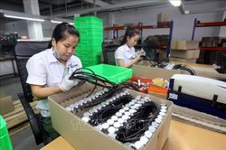 CH Czech tăng cường hợp tác thương mại với Việt Nam